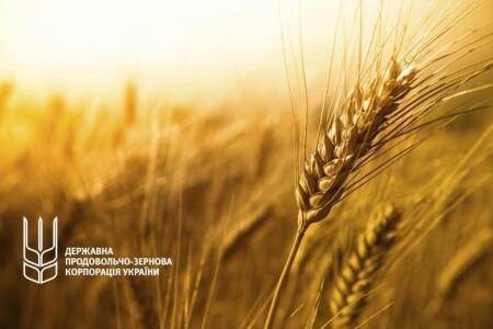 UAH 45 million in losses: the case on the fraud involving Anatoli Zavadskyi, former advisor to the State Food and Grain Corporation