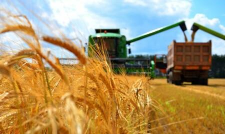 Corruption at SFGCU: the case of Dmytro Dobrii, a representative of an international grain trader